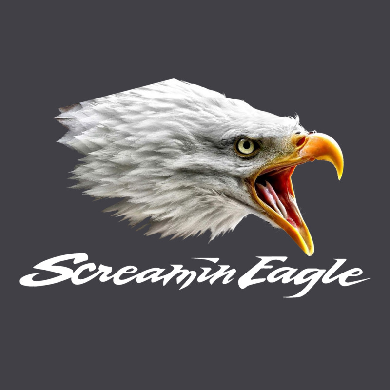 The Screaming Eagle Heavyweight Hoodie by artisFamous | Teevron