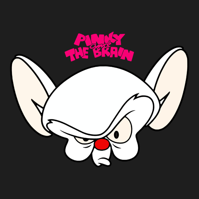 Pinky And The Brain Big Face Heavyweight Hoodie by artisFamous | Teevron
