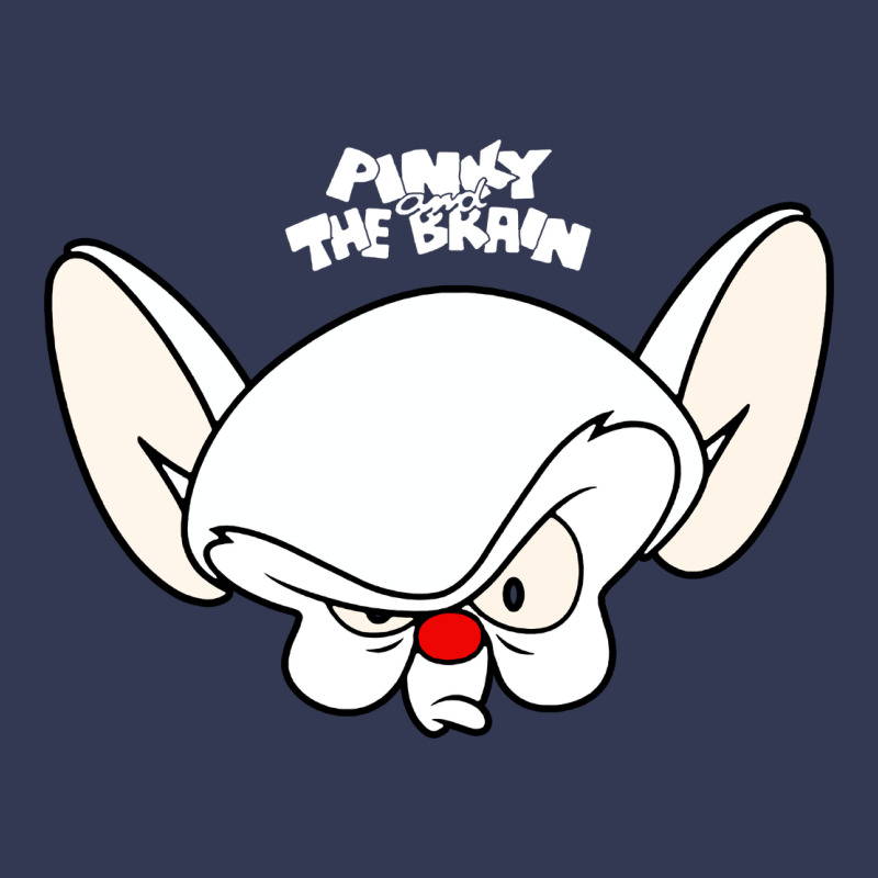 Pinky And The Brain Big Face Heavyweight Hoodie by artisFamous | Teevron