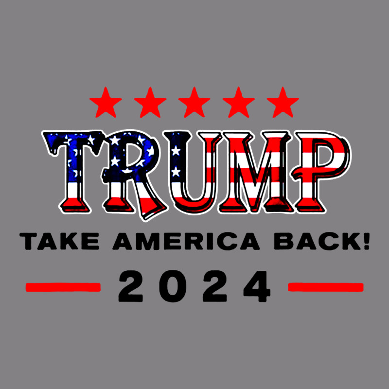Donald Trump 2024 Take America Back Election Heavyweight Hoodie by artisFamous | Teevron