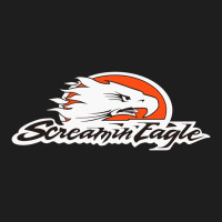 The Screamin Eagle Heavyweight Hoodie | Teevron