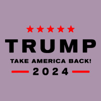 Donald Trump 2024 Take America Heavyweight Hoodie | Teevron