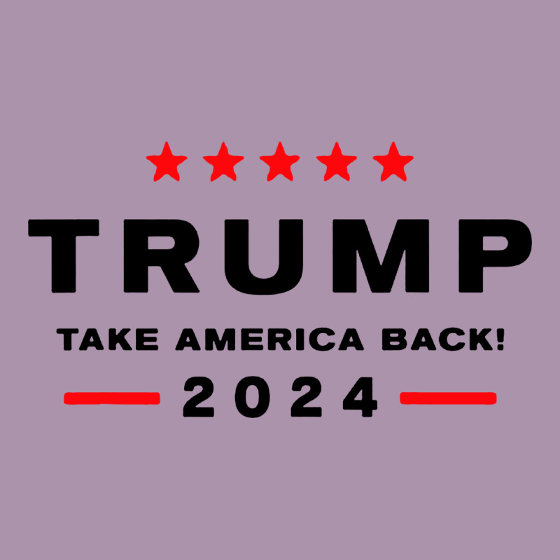 Donald Trump 2024 Take America Heavyweight Hoodie by artisFamous | Teevron