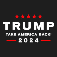 Donald Trump 2024 Take America Heavyweight Hoodie | Teevron