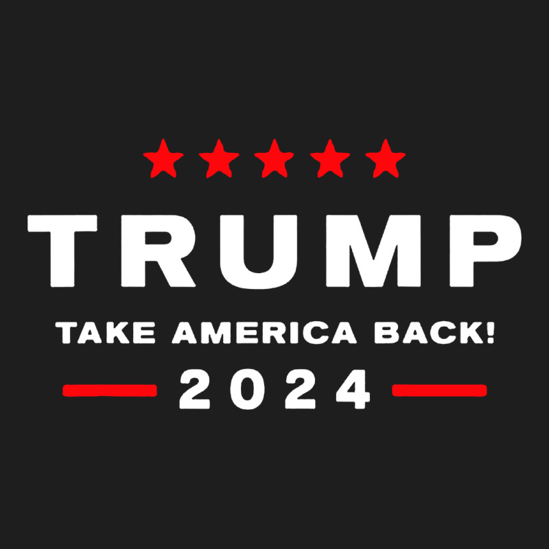 Donald Trump 2024 Take America Heavyweight Hoodie by artisFamous | Teevron