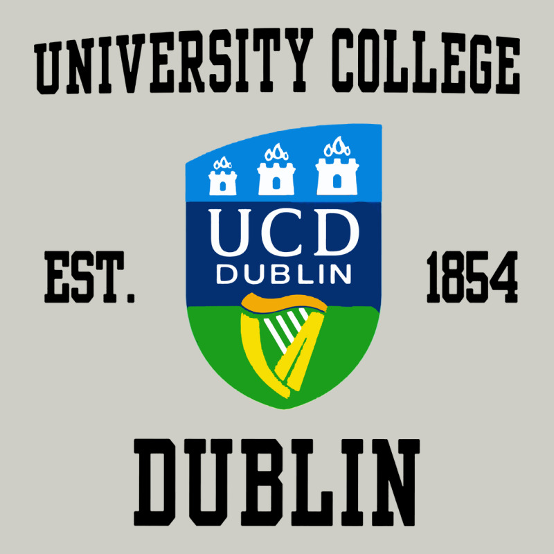 University College Dublin Heavyweight Hoodie by artisFamous | Teevron