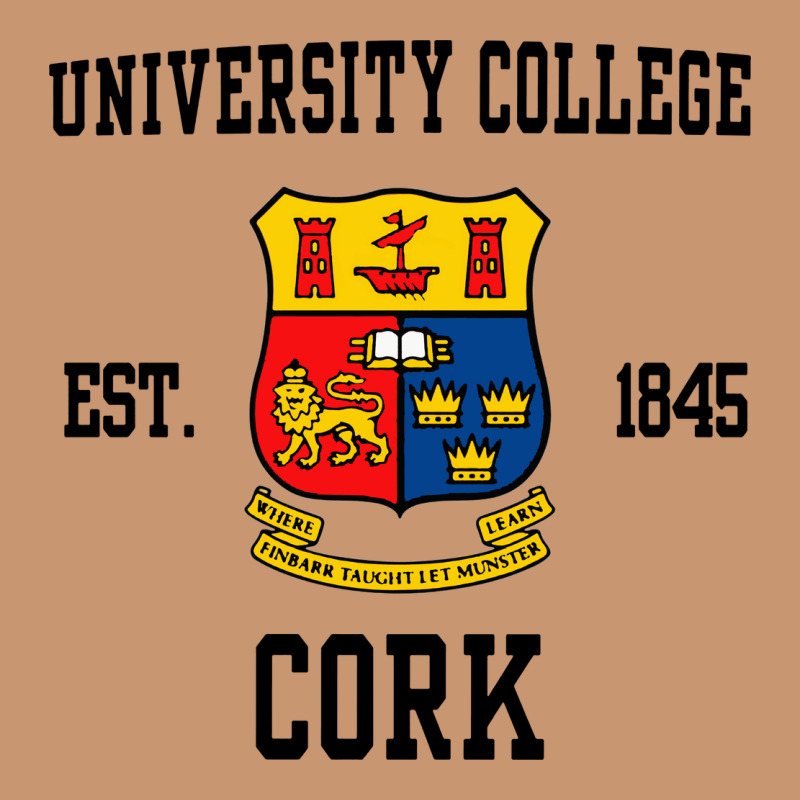 University College Cork Heavyweight Hoodie by artisFamous | Teevron