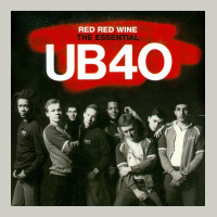 The Essential Ub 40 Heavyweight Hoodie | Teevron