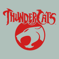 Thunders Cats Heavyweight Hoodie | Teevron