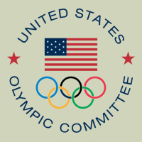 Olympic Rings Heavyweight Hoodie | Teevron