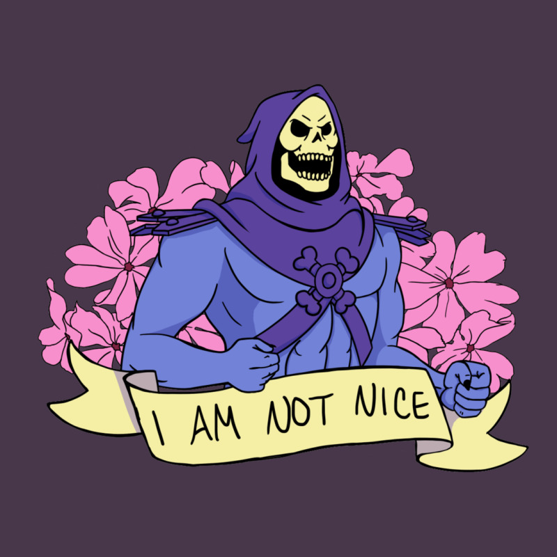 Vintage Skeletor ı Am Not Nice Heavyweight Hoodie by artisFamous | Teevron