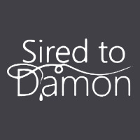 Sired To Damon Heavyweight Hoodie | Teevron
