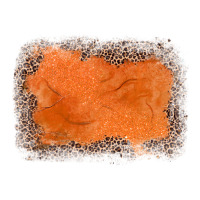 gemstone orange leopard background | Teevron