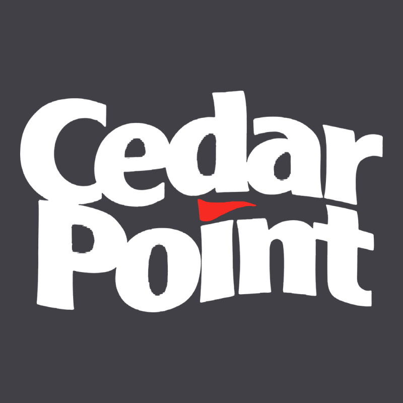 Cedar Point Heavyweight Hoodie by artisFamous | Teevron