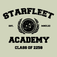 Starfleet Academy Heavyweight Hoodie | Teevron