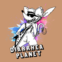 Diarrhea Planet Musician Heavyweight Hoodie | Teevron