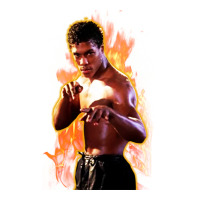 bruce leroy | Teevron