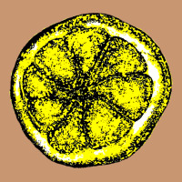 The Stone Roses Heavyweight Hoodie | Teevron