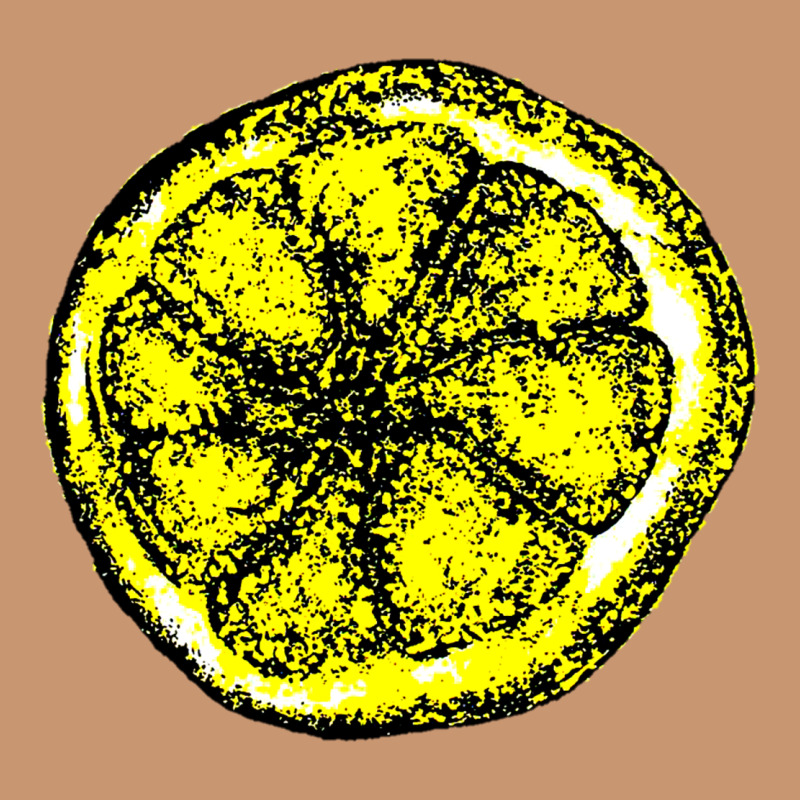 The Stone Roses Heavyweight Hoodie by artisFamous | Teevron