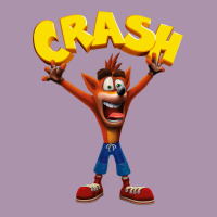 Crash Bandicoot Heavyweight Hoodie | Teevron