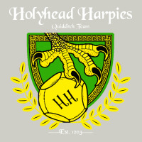 Holyhead Harpies Heavyweight Hoodie | Teevron