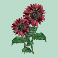 2 Chocolate Sunflower Premium Hoodie | Teevron