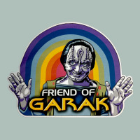 Friend Of Garak Heavyweight Hoodie | Teevron