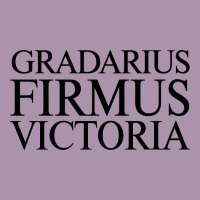 Gradarius Firmus Victoria Heavyweight Hoodie | Teevron