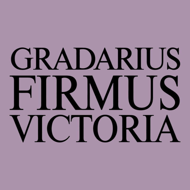 Gradarius Firmus Victoria Heavyweight Hoodie by artisFamous | Teevron