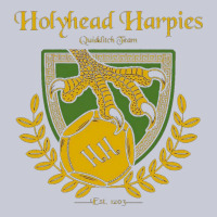 Holyhead Harpies Heavyweight Hoodie | Teevron