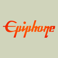 Epiphone Heavyweight Hoodie | Teevron