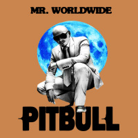 Merch Mr Worldwide Pit Bull Heavyweight Hoodie | Teevron