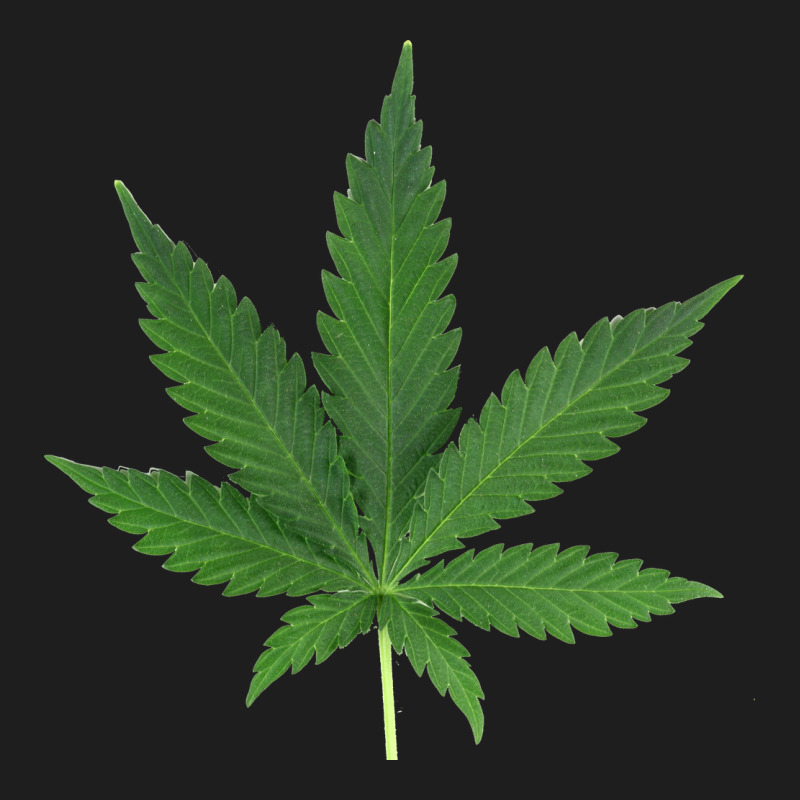 Weed Leaf Heavyweight Hoodie by artisFamous | Teevron