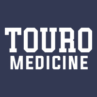 Touro Medicine Heavyweight Hoodie | Teevron