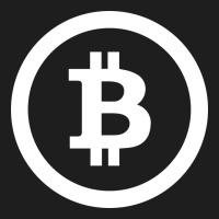 Bitcoin Heavyweight Hoodie | Teevron