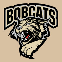 Bismarck Bobcats Heavyweight Hoodie | Teevron