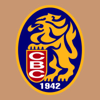 Leones Del Caracas Heavyweight Hoodie | Teevron