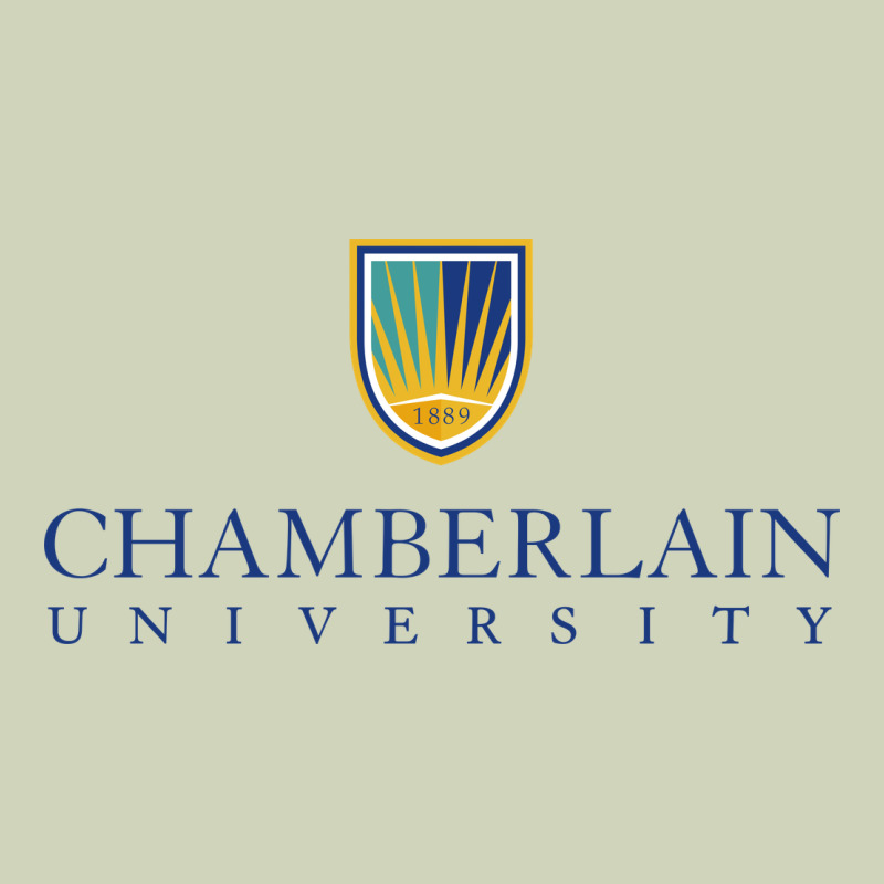 Chamberlain College Nursing Heavyweight Hoodie by artisFamous | Teevron