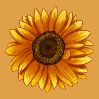 Soraya Sunflower Premium Hoodie | Teevron