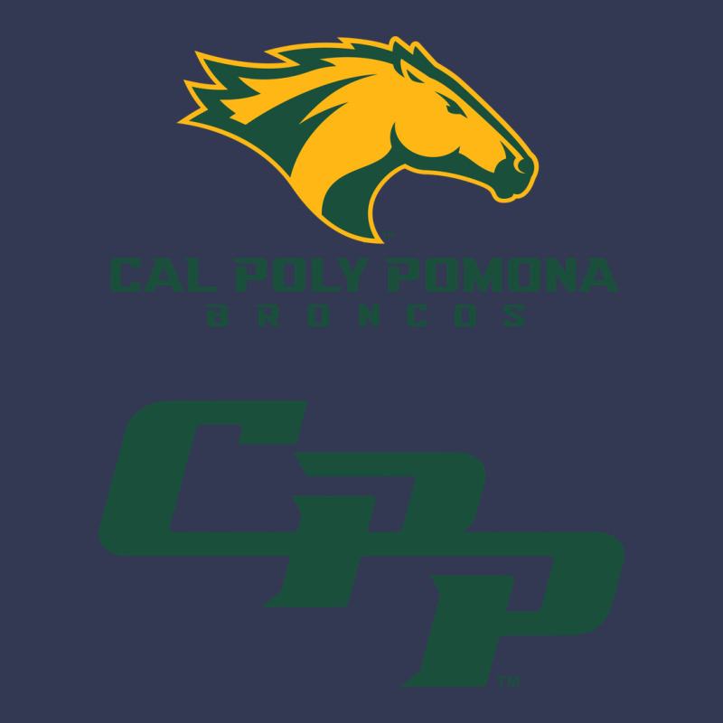 Cal Pol Pomona Heavyweight Hoodie by artisFamous | Teevron