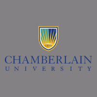 Chamberlain College Heavyweight Hoodie | Teevron