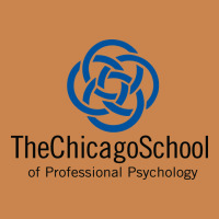 The Chicago School Of Professional Psychology Heavyweight Hoodie | Teevron