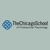 The Chicago School Of Professional Psychology Heavyweight Hoodie | Teevron