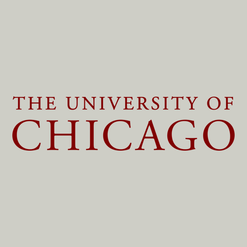 College Of Chicago Heavyweight Hoodie by artisFamous | Teevron