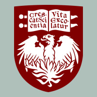 College Of Chicago Heavyweight Hoodie | Teevron
