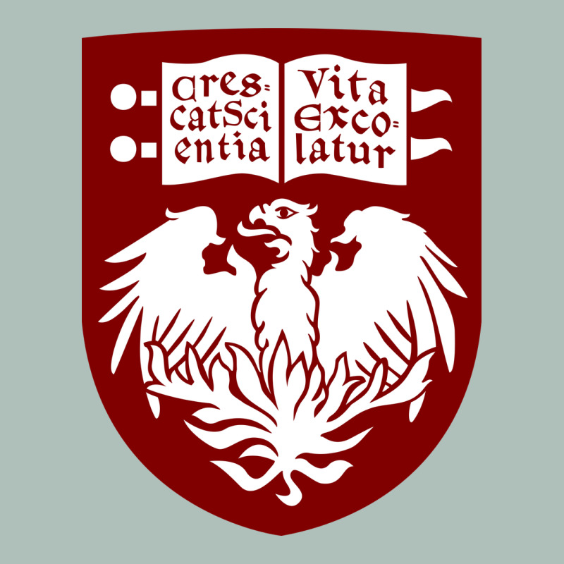 College Of Chicago Heavyweight Hoodie by artisFamous | Teevron