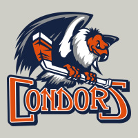 Condors, The Bakersfield Heavyweight Hoodie | Teevron