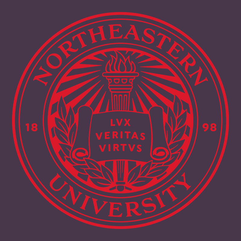 Northeastern University Heavyweight Hoodie by artisFamous | Teevron