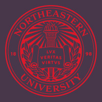 Northeastern University Heavyweight Hoodie | Teevron