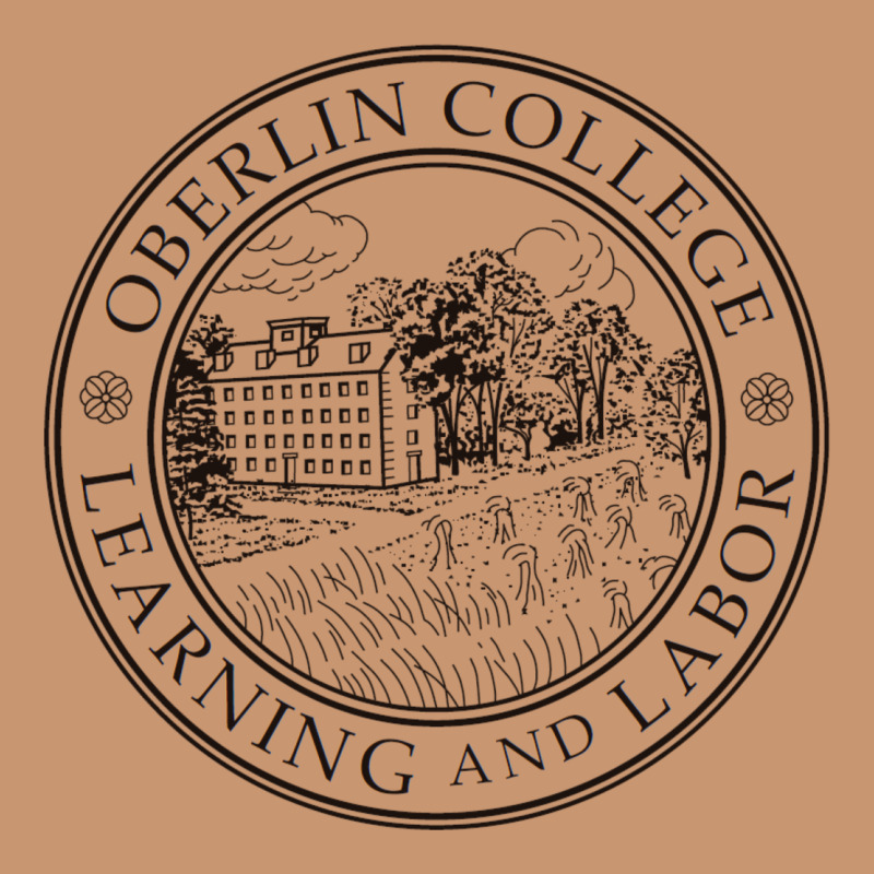 Oberlin College, Oberlin, Oh, Heavyweight Hoodie by artisFamous | Teevron